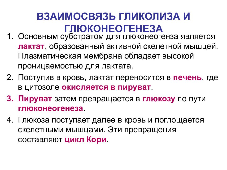 УГЛЕВОДЫ: функции и обмен ВЗАИМОСВЯЗЬ ГЛИКОЛИЗА И ГЛЮКОНЕОГЕНЕЗА