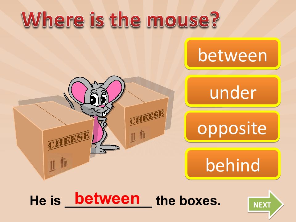 Under behind перевод. Opposite next to between behind. Предлоги opposite next to between behind. Предлог opposite в английском. Opposite in Front of разница.