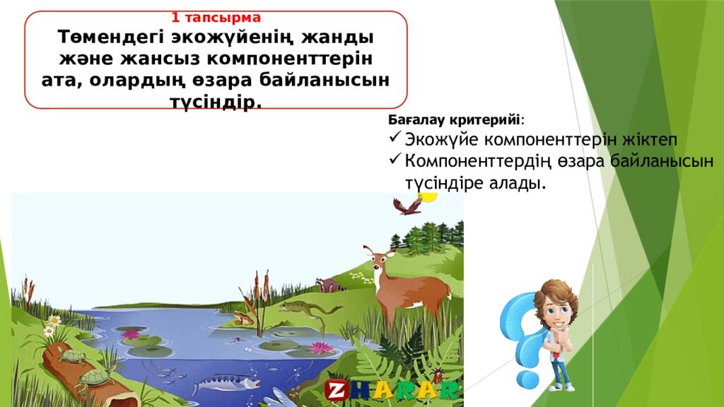 Сабақтың тақырыбы: Экожүйелер Мақсаты: 5.6.1.1 – экожүйенің құрамдас бөліктерін