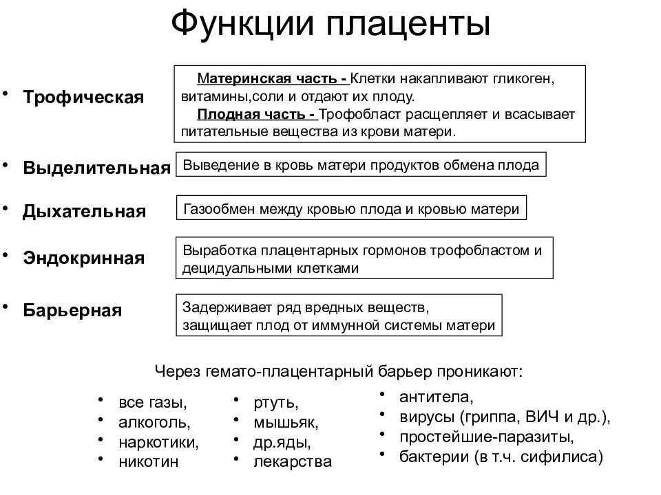 Эндокринная функция плаценты презентация