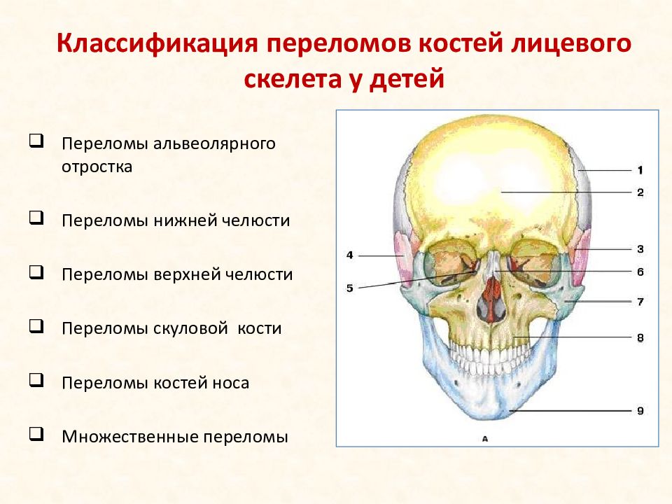 Переломы верхней и нижней челюсти презентация