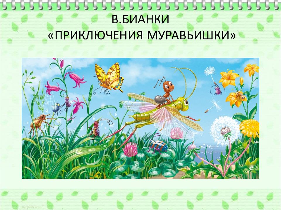 Приключения бианки. Бианки в. в. 