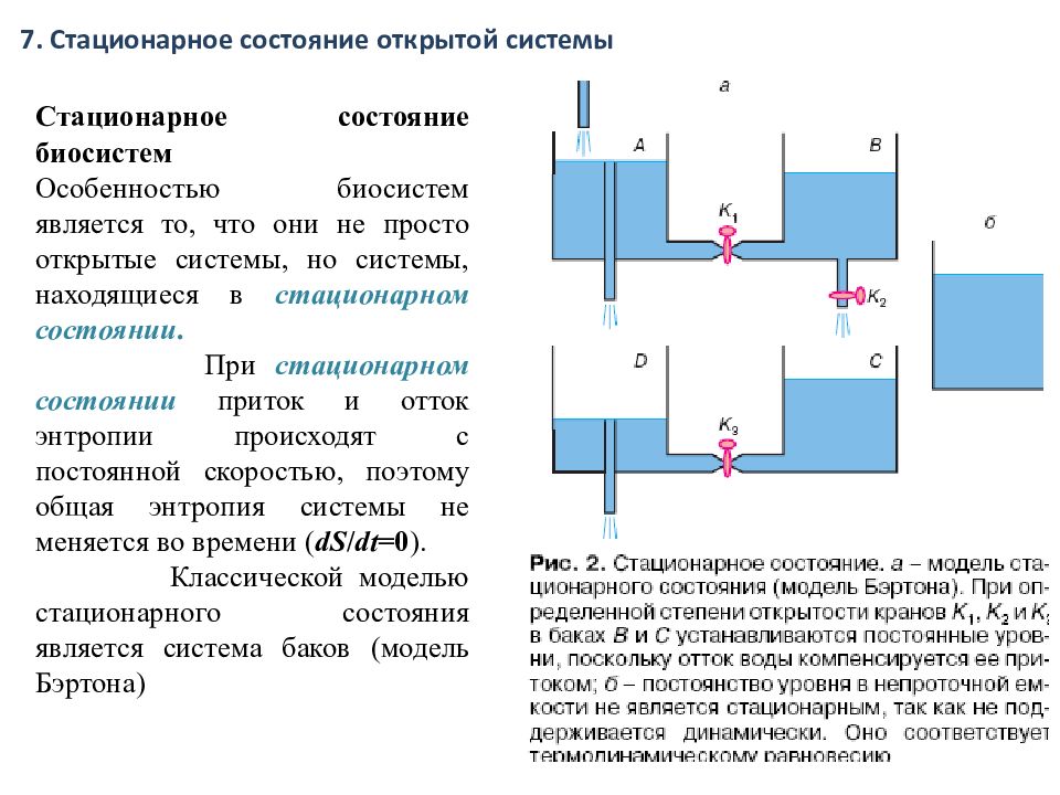 Термодинамика схема. Стационарное состояние открытой системы. Стационарное состояние термодинамика. Стационарное состояние системы в термодинамике. Дроссель в термодинамике это.