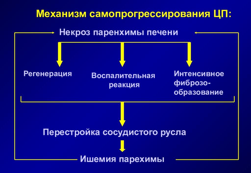 Способность печени к регенерации и проблема цирроза презентация