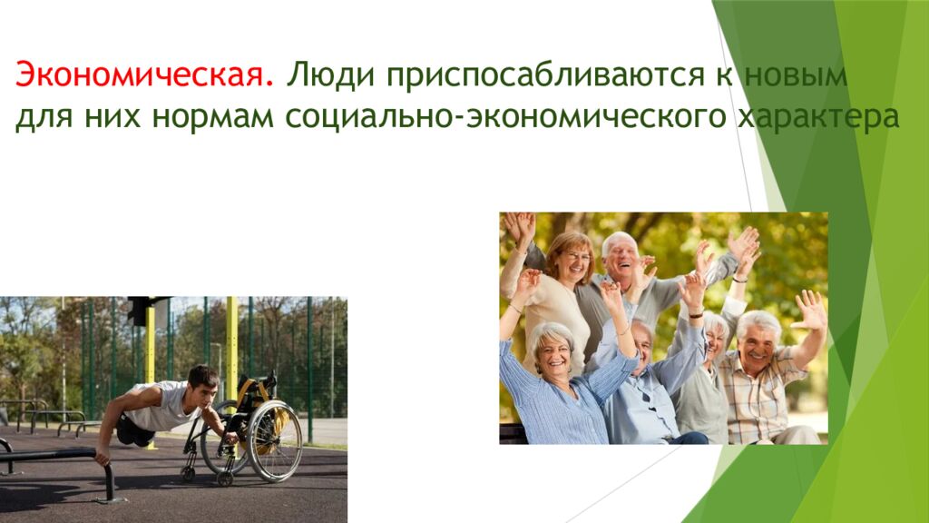 Виды и уровни социальной адаптации