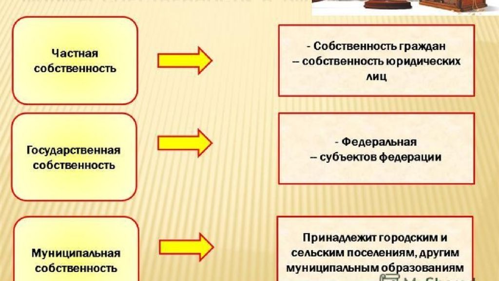 Виды собственности презентация