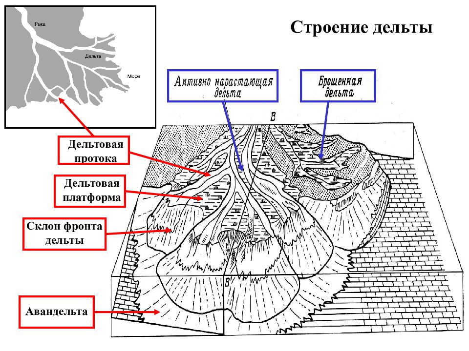Типы дельты реки. Строение дельты Геология. Строение дельт. Строение дельты реки. Строение речных дельт.