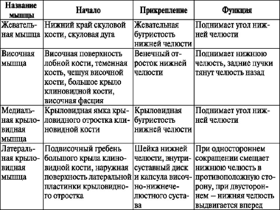 Начало прикрепление функции мышц. Мышцы головы начало прикрепление функции таблица. Мышцы головы мимические и жевательные таблица. Прикрепление жевательных мышц таблица. Жевательные мышцы лица анатомия таблица.