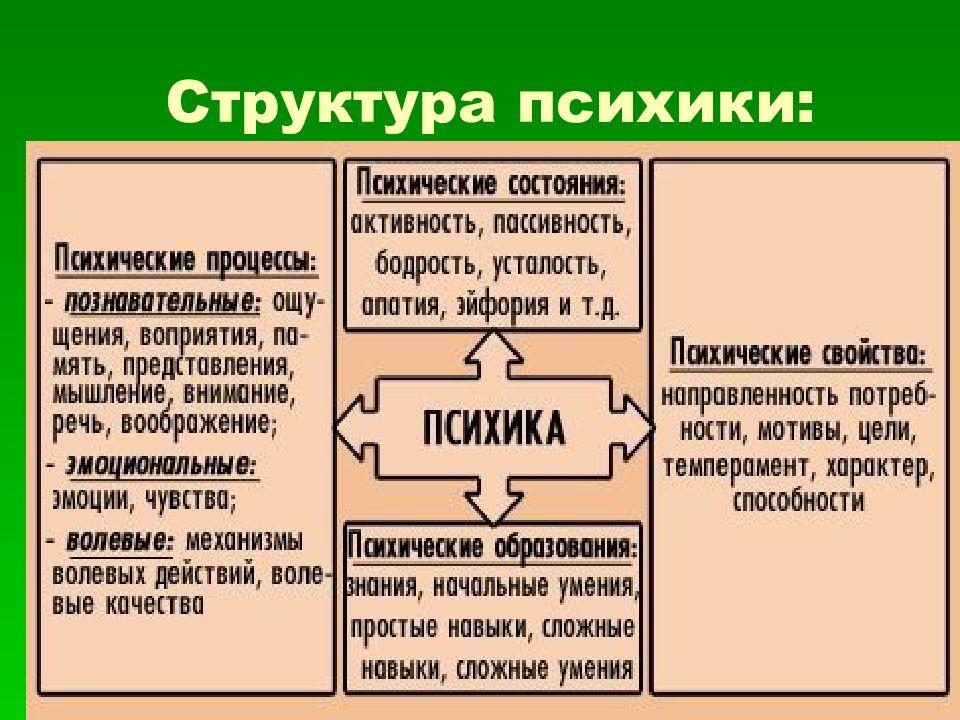 Структура психики презентация