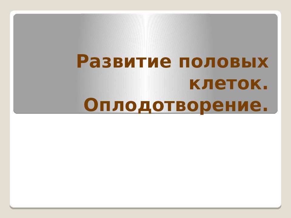 Развитие половых клеток. Оплодотворение.