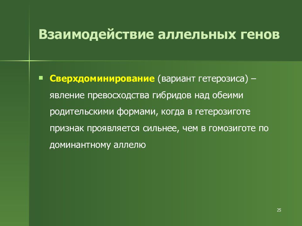 Над обеими. Взаимодействие аллельных генов сверхдоминирование. Какое взаимодействие генов обеспечивает гетерозис. При каком взаимодействии аллельных генов появляется гетерозис.