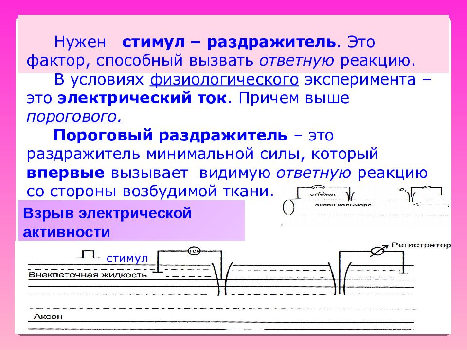 Раздражитель это. Электрические раздражители. Пороговый раздражитель вызывает. Минимальная сила раздражителя вызывающая ответную реакцию. Минимальная сила раздражителя способная вызвать ответную реакцию.