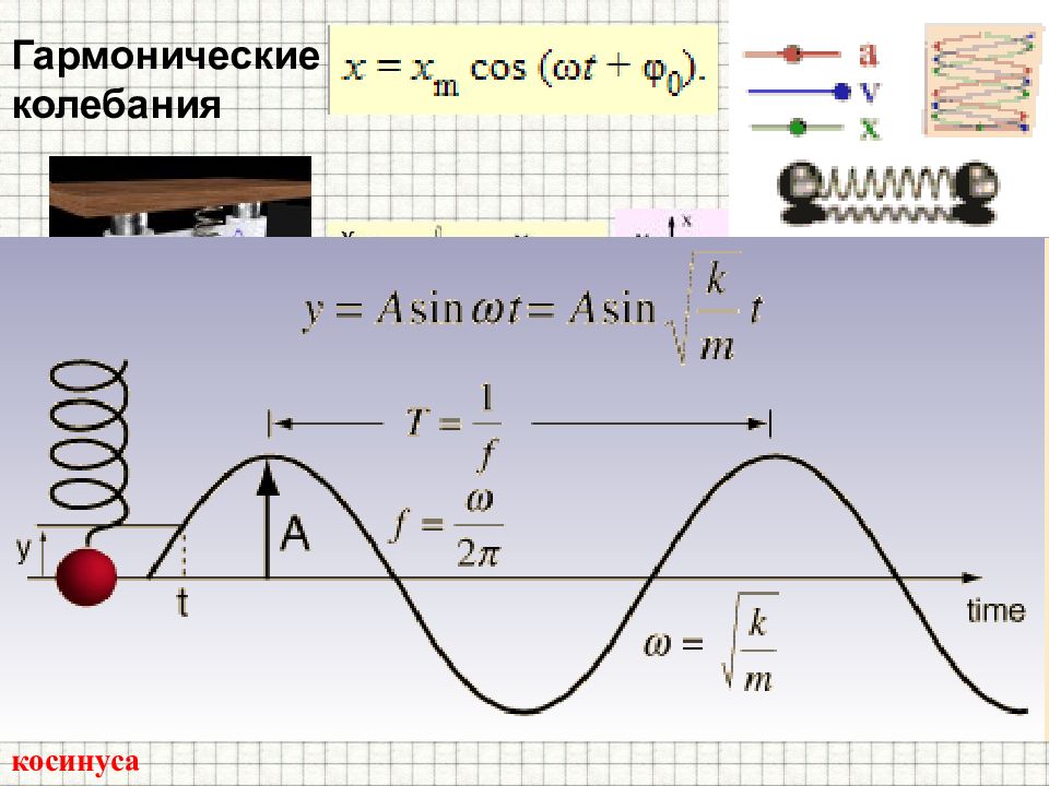 Какой цифрой на рисунке обозначен орган переводящий механические колебания в электрические импульсы