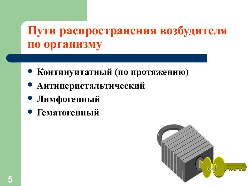 Пути распространения. Пути распространения возбудителя в организме:.