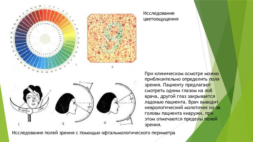 Поле зрения белого цвета. Исследование поля зрения (при помощи компьютерного периметра);. Поле зрения исследуется с помощью. Поле зрения офтальмология схема. Исследование полей зрения молоточком.