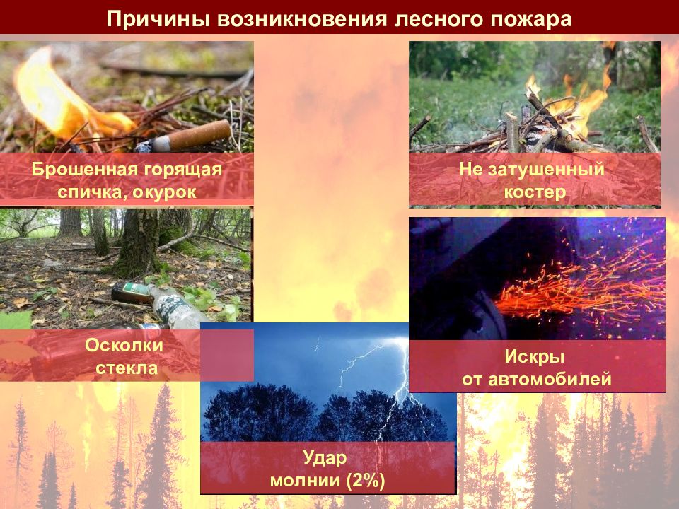 Факторы возникновения лесных пожаров. Причины возникновения лесных пожаров. Классификация лесных пожаров по силе. Классификация лесных пожаров для детей. Классификация лесных пожаров таблица.