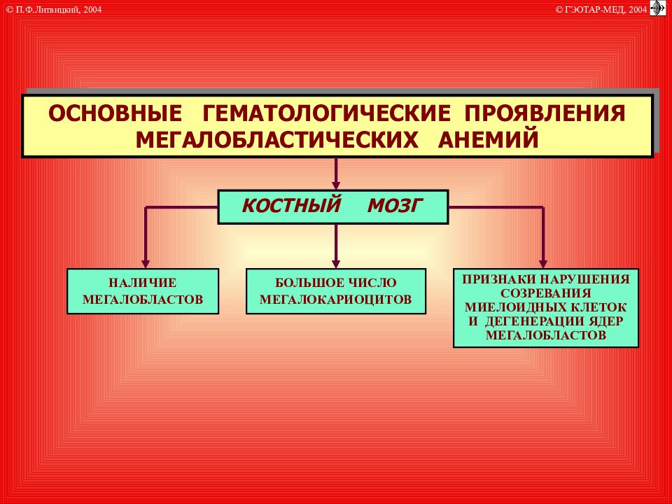 Виды анемии. Основные гематологические проявления анемий. Общие гематологические и клинические проявления анемий. Основные гематологические проявления мегалобластических анемий. Препарат для терапии мегалобластической анемии;.