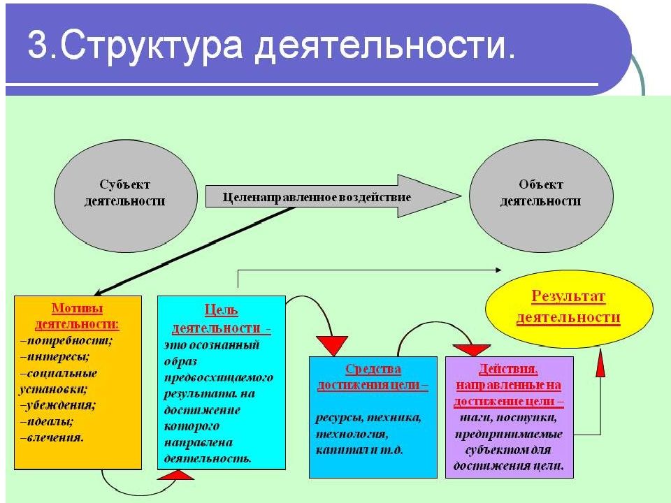 Область человеческой деятельности отвечающая за формирование объективной картины мира