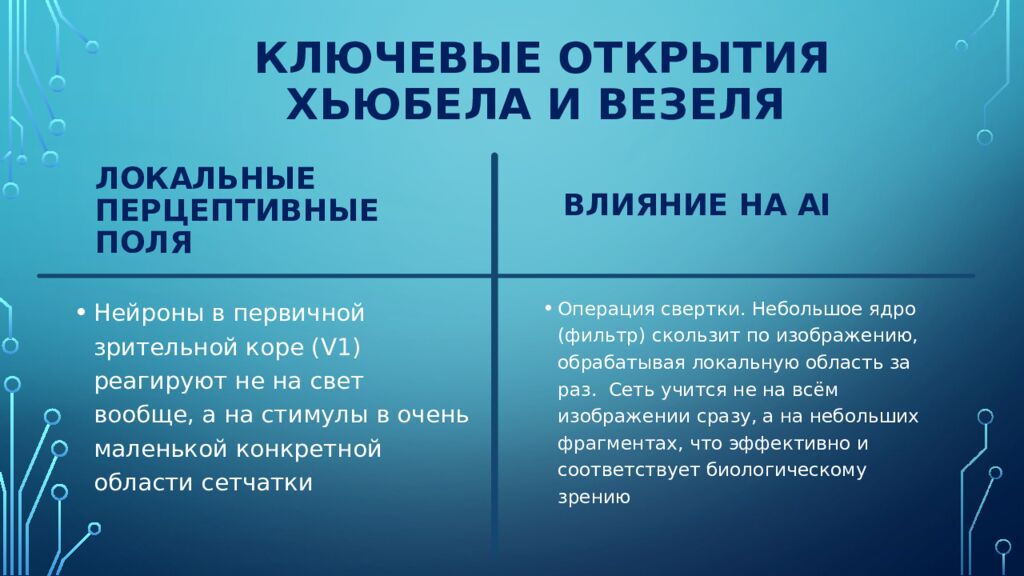 Ключевые Открытия Хьюбела и Везеля