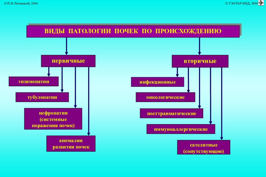 Токсическая нефропатия презентация