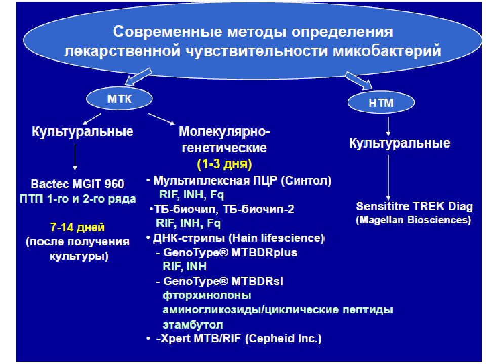 Возбудитель туберкулеза презентация