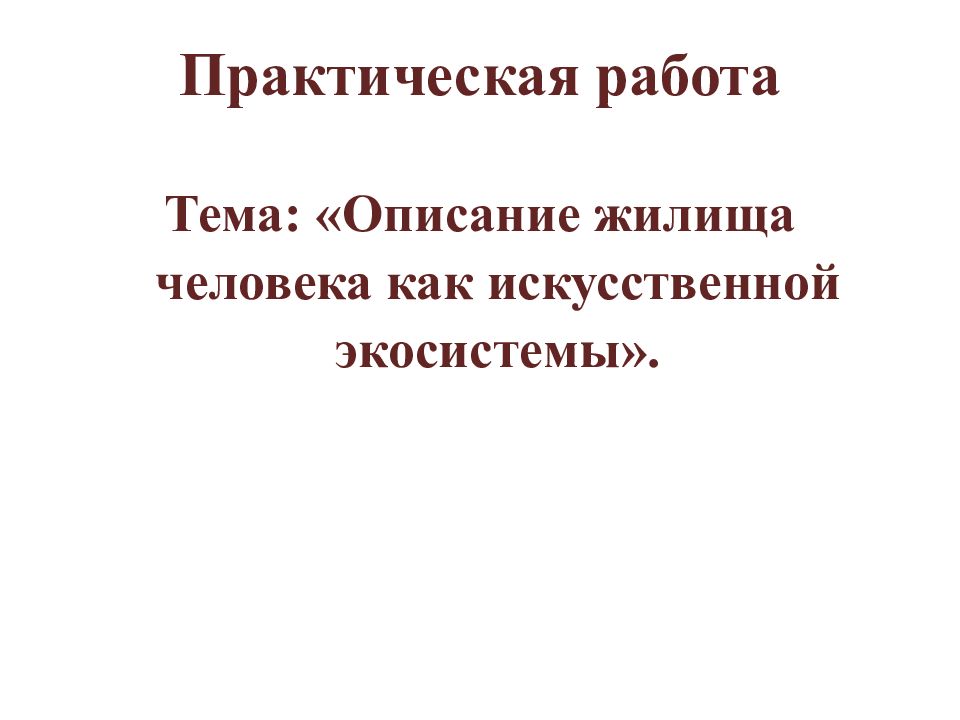 Практическая работа