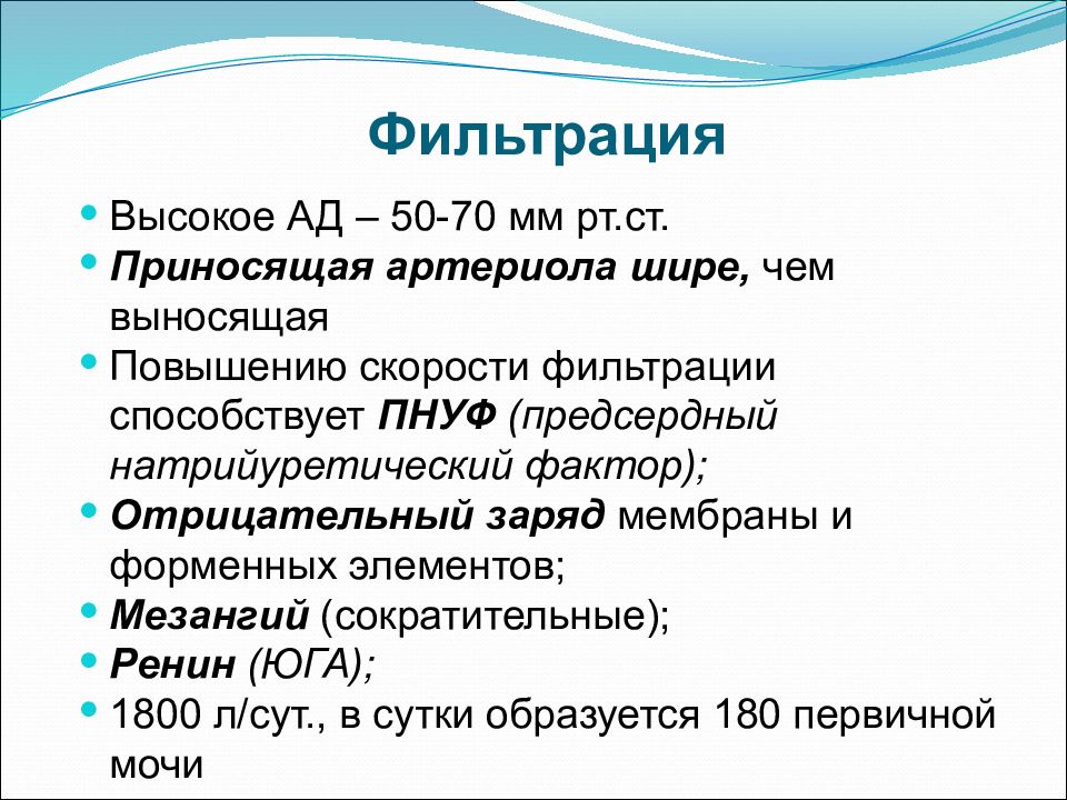 Скорость в артериолах. Факторы способствующие фильтрации. Предсердный натрийуретический фактор. Функции ПНУФ. Функции фильтрации мочи.