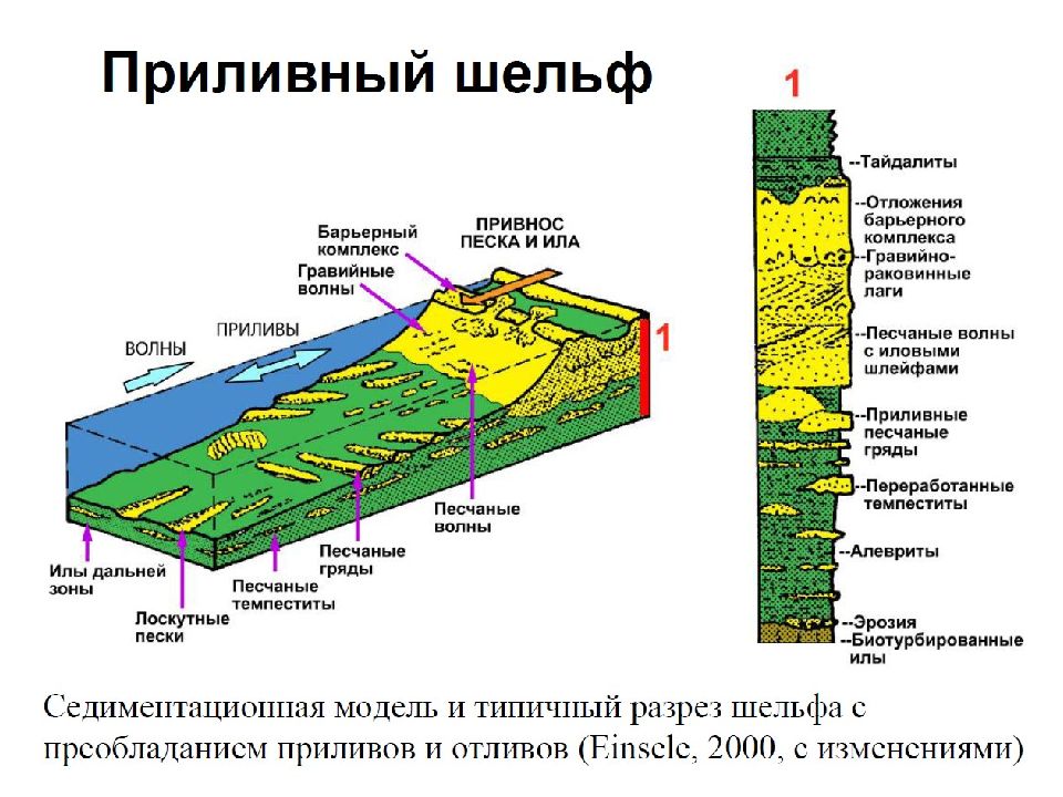 Морские осадки. Обстановки осадконакопления. Зоны осадконакопления. Прибрежно морские обстановки осадконакопления. Обстановки осадконакопления и фации.