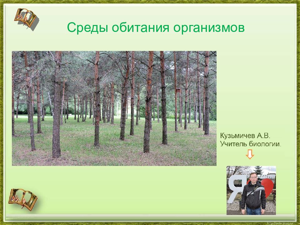http://aida.ucoz.ru Среды обитания организмов