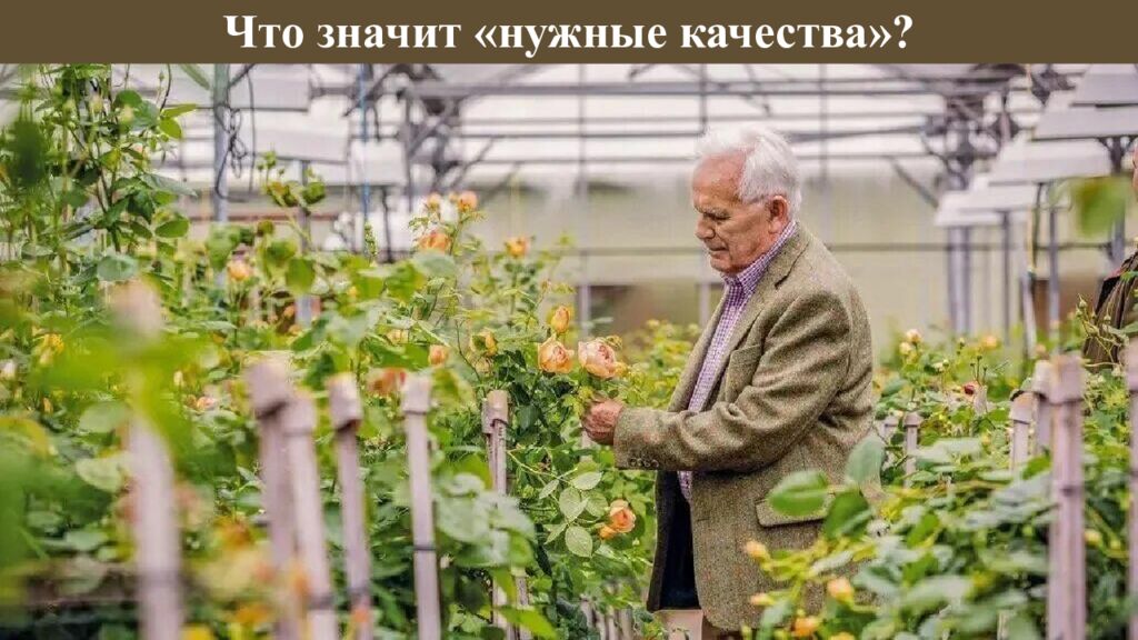 Что значит «нужные качества»?