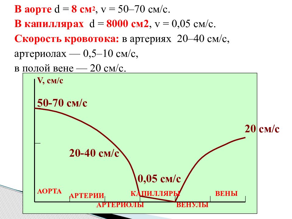 Давление в аорте. Скорость кровотока в аорте в см/с. Скорость крови в капиллярах см/с. Скорость кровотока в капиллярах. Скорость в аорте.