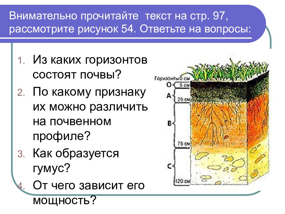 Образование почвы презентация