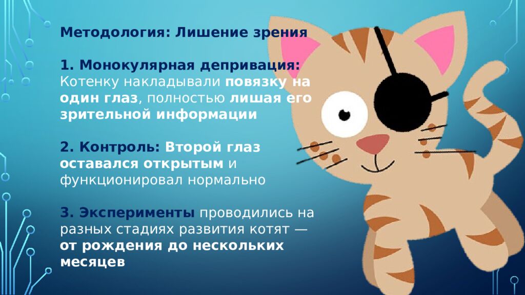 Нейроны зрительной коры: детекторы признаков и их иерархия