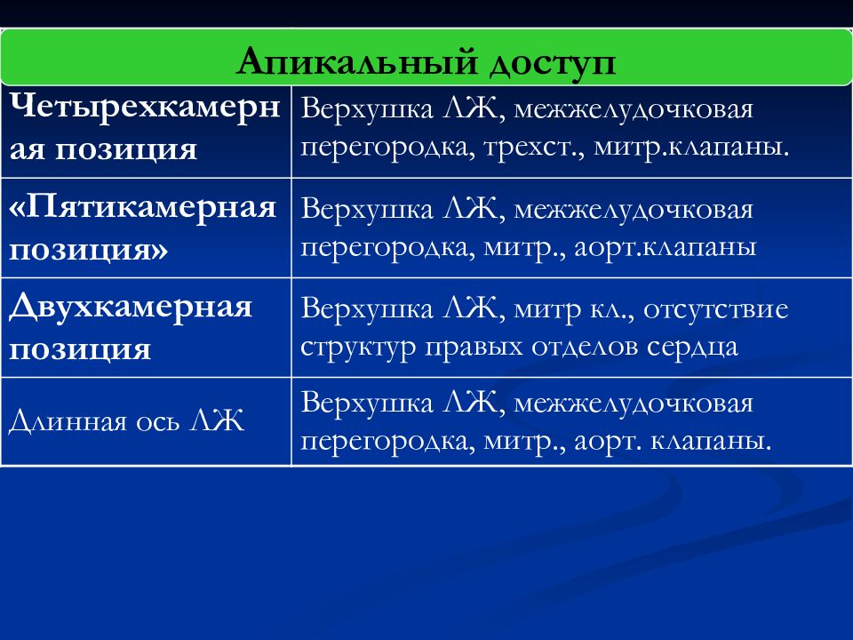 К трехстам зрителям. Апикальный доступ ЭХОКГ.