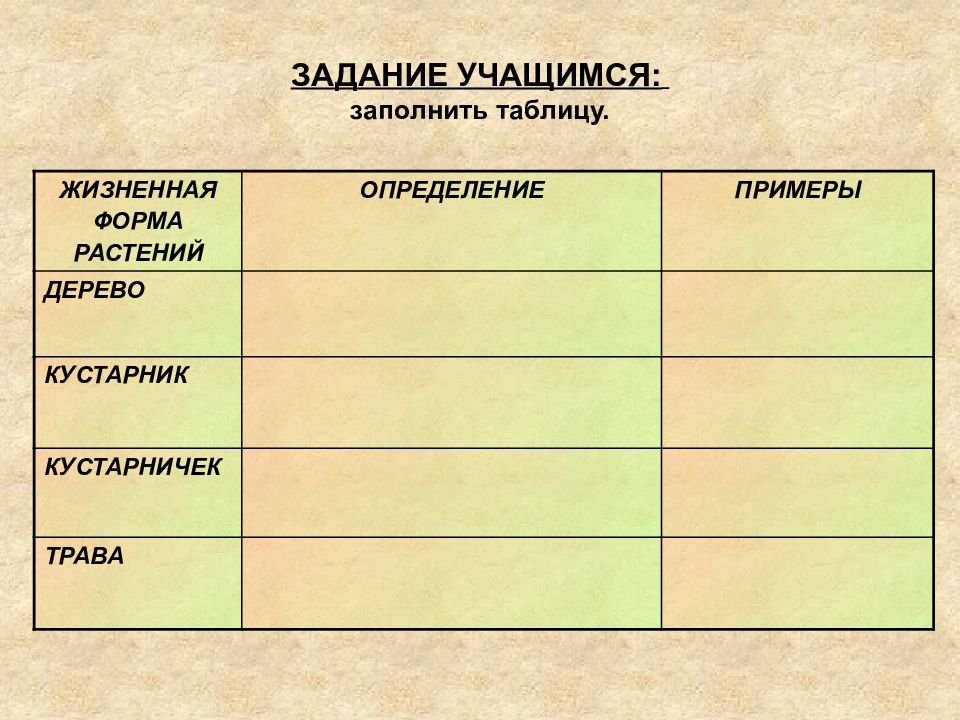 Рисунок жизненные формы растений 6 класс