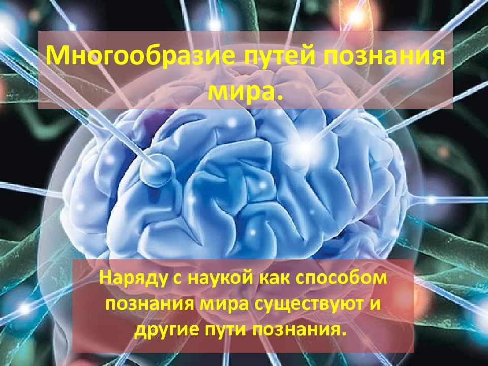 Путь познающего. Пути познания. Пути познания мира. Многообразие путей познания. Нейрохимия мозга.