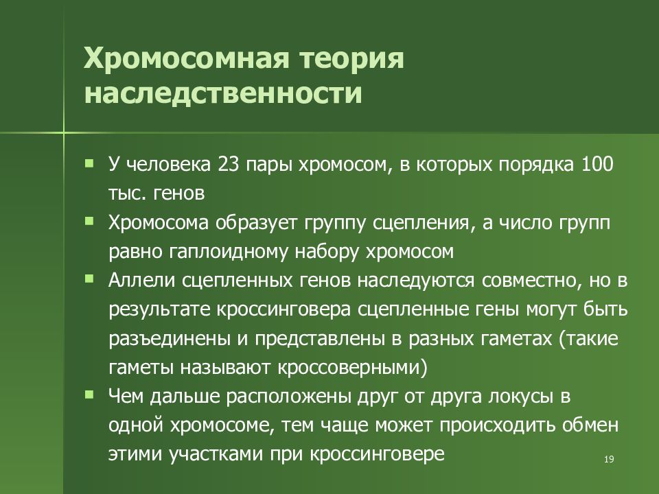 Положения теории наследственности. Хромосомная теория наследственности. Хромомнаятеория наследственности. Хромосомная теория наследственности т Моргана. Теория - хромосомная теория наследственности..