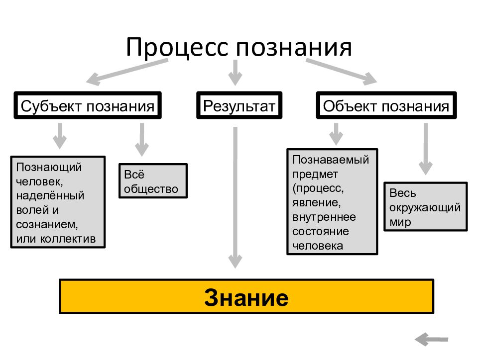 Познающий субъект и сознание. Человек как субъект познания.