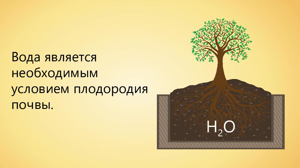 Как определить плодородие почвы география огэ. Факты о почве. Интересные факторы о почве. 5 Фактов о почве. 10 Интересных фактов о почве.