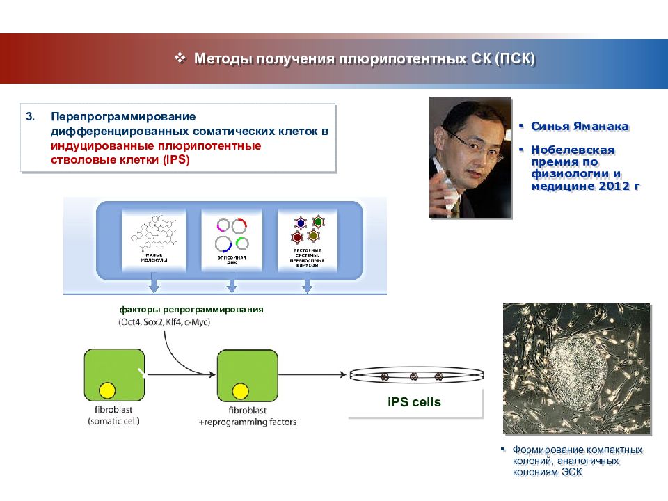 Соматическая клетка набор. Индуцированные плюрипотентные клетки. Перепрограммирование клеток. Индуцированные плюрипотентные СК. Перепрограммирование стволовых клеток.