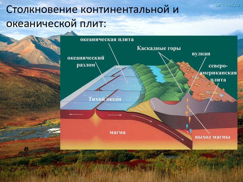 Континентальные плиты земной. Континентальная и океаническая плита. Столкновение океанической плиты с Континентальной. Океаническая плита строение. Столкновение материковой плиты с Континентальной.