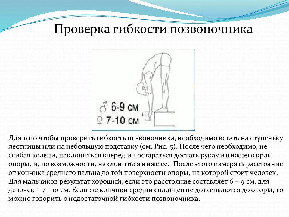 Гибкость позвоночника. Измерение гибкости позвоночника норма. Нормативы гибкости позвоночного столба. Лабораторная работа по биологии определение гибкости позвоночника. Тест на гибкость позвоночника.