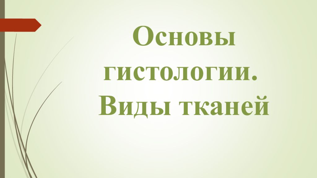 Основы гистологии. Виды тканей