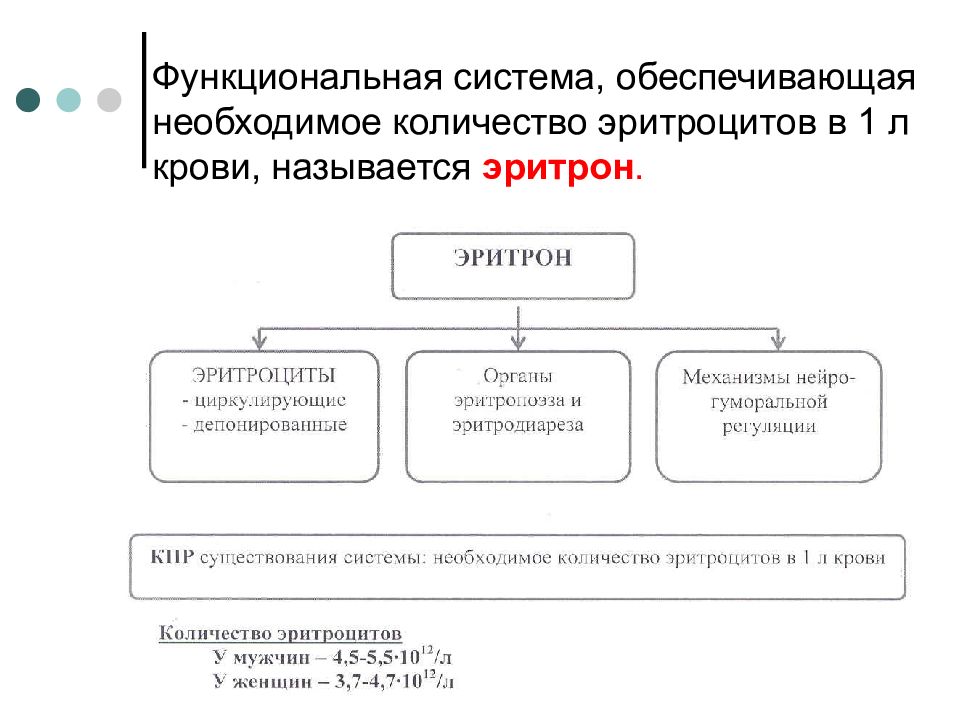 Длительность сдвигов в функциональных системах. Регуляция количества эритроцитов. Механизмы регуляции количества эритроцитов в крови.. Схема регуляции количества эритроцитов в крови. Функциональная система эритроцитов.