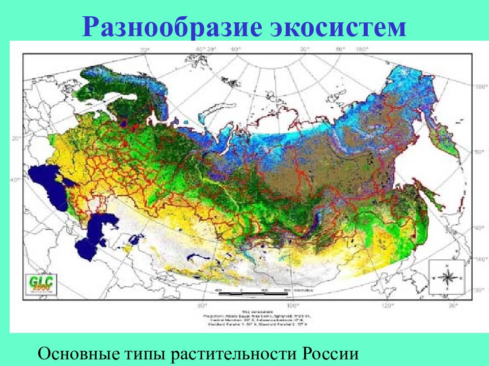 Особенность разнообразия россии. Экосистемы России. Разнообразие экосистем. Карта экосистем. Карта экосистем России.