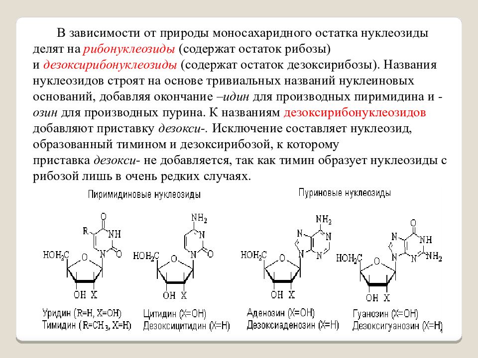 Какую последовательность нуклеотидов имеет. Нуклеозид уридин. Нуклеозид дезоксигуанозин. Нуклеотиды нуклеозиды нуклеиновые кислоты. Урациловый нуклеозид.