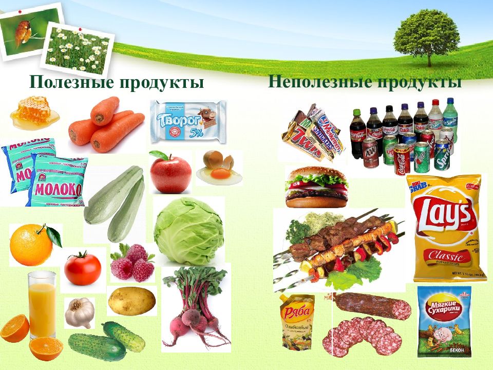 Не полезные продукты картинки