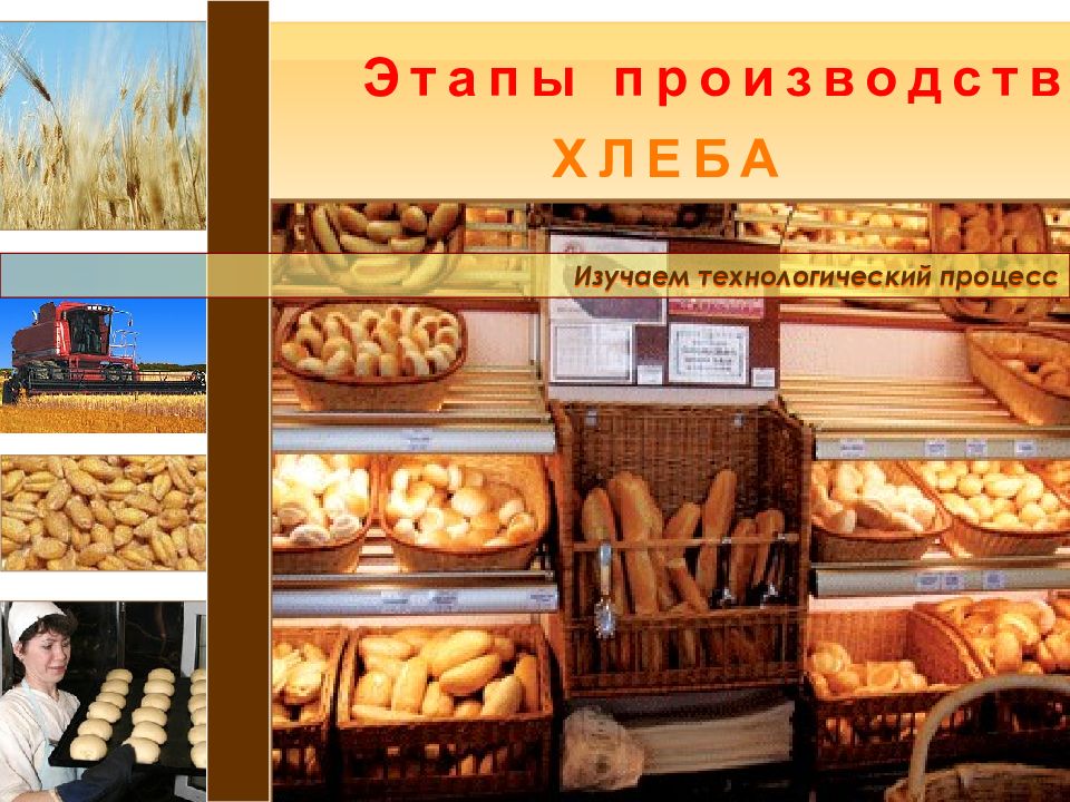 Этапы производства ХЛЕБА Изучаем технологический процесс