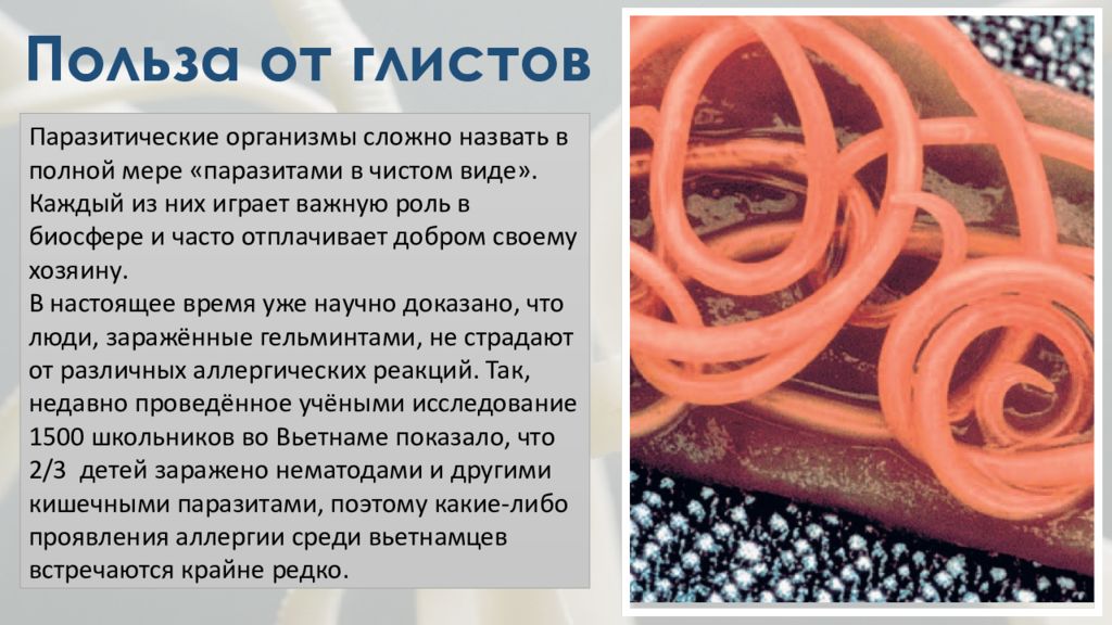 Презентация по гельминтам