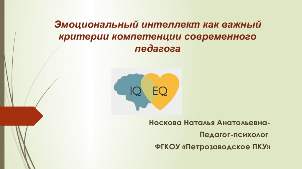Эмоциональный интеллект как важный критерии компетенции современного